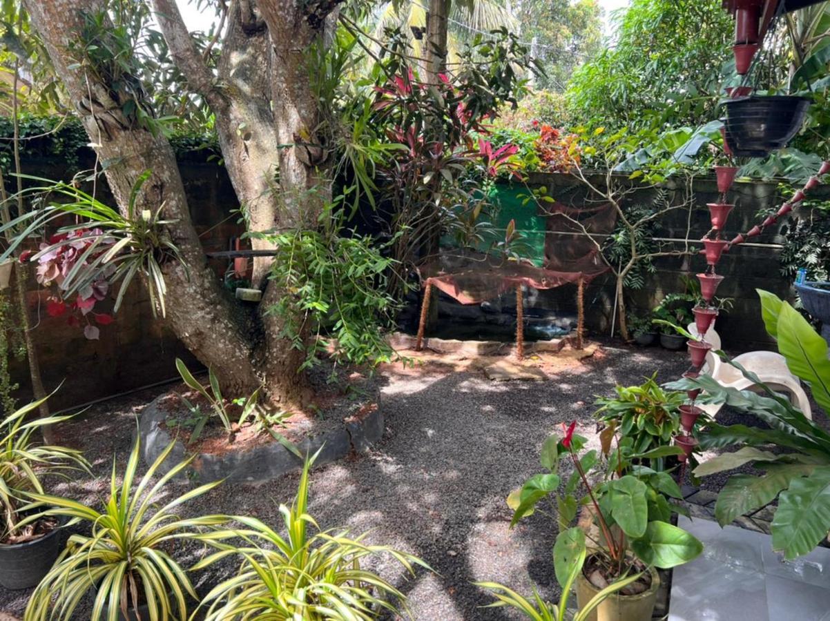 Jungle Reef Rest Ξενοδοχείο Mirissa Εξωτερικό φωτογραφία